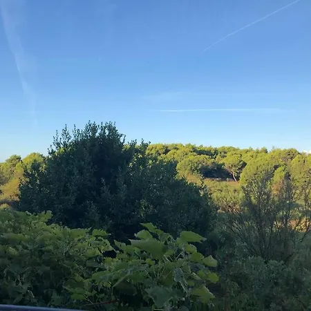 Appartement Beautiful At Entrance To Cape Kamenjak